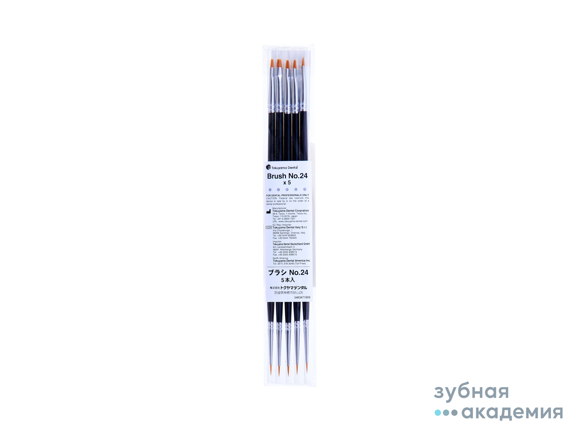 Кисти для моделирования Brush / Браш № 24 (5 шт) Tokuyama Dental/ Япония